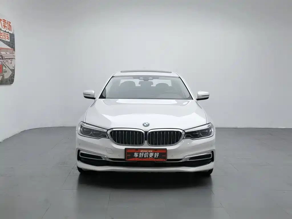 BMW 5 Series New Energy 2020