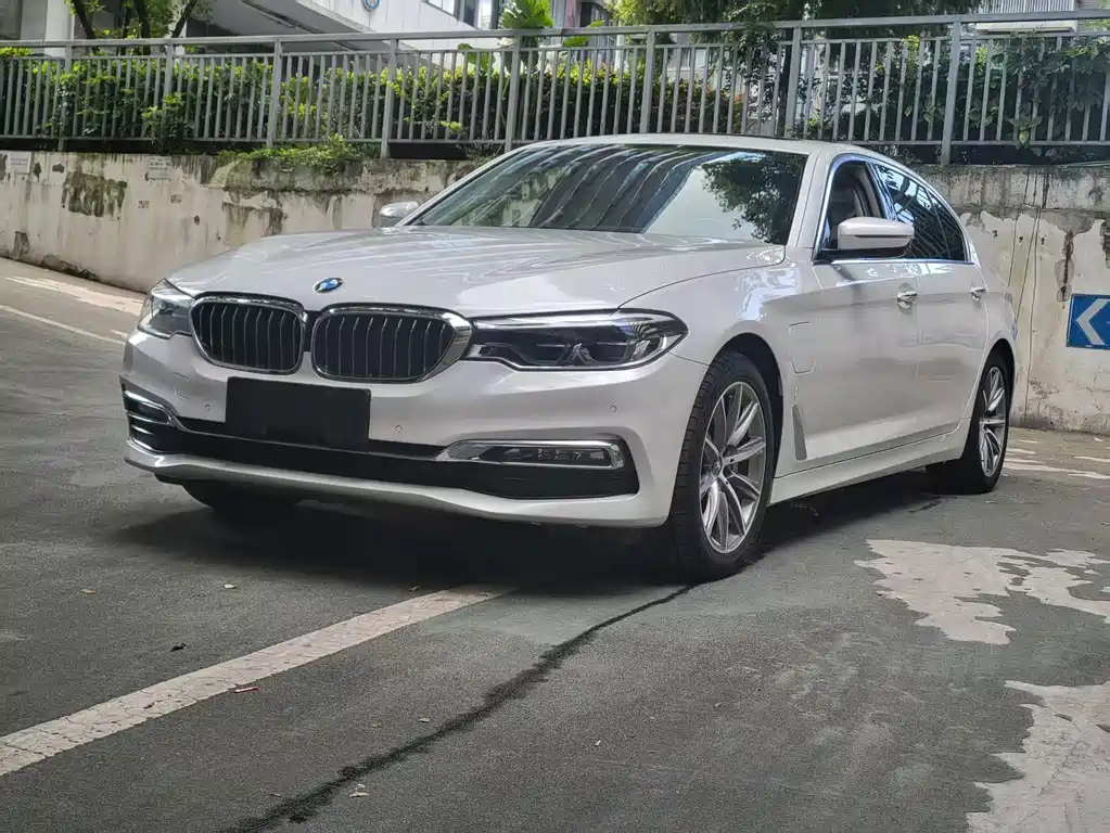 BMW 5 Series New Energy 2019