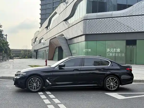 BMW 5 Series New Energy 2021