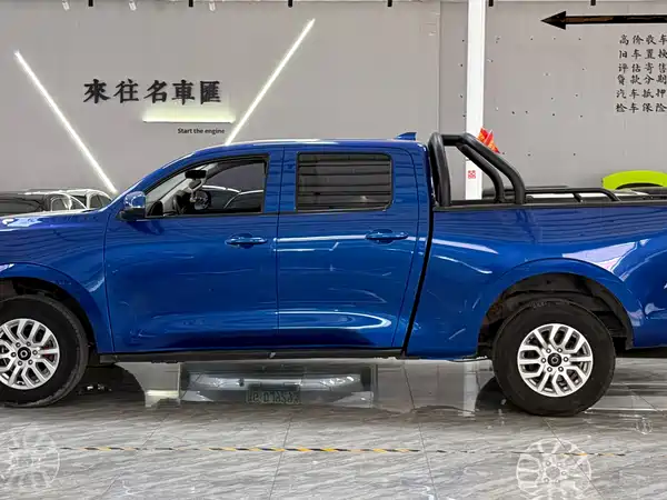 Great Wall Poer 2019