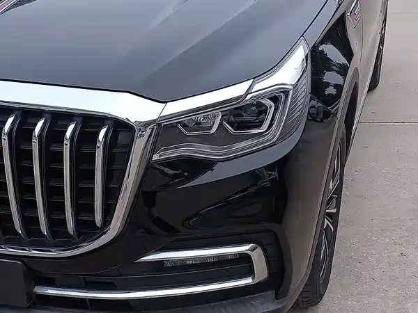 Hongqi HS7 2019