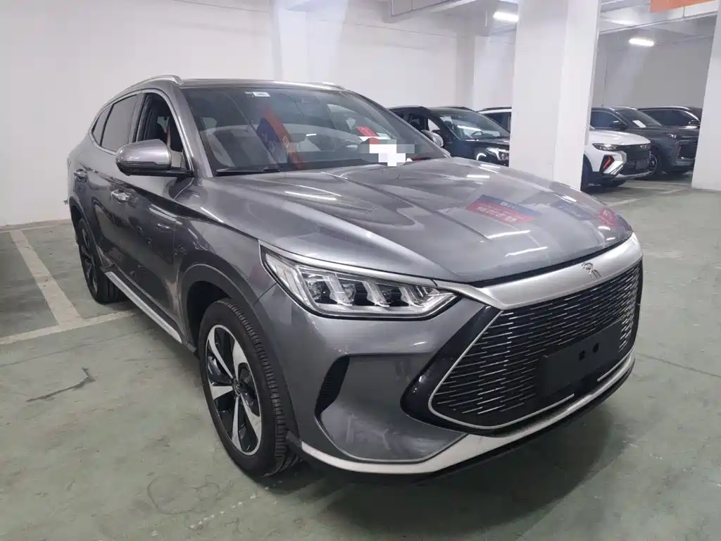 BYD Song PLUS New Energy 2022 — фото 22