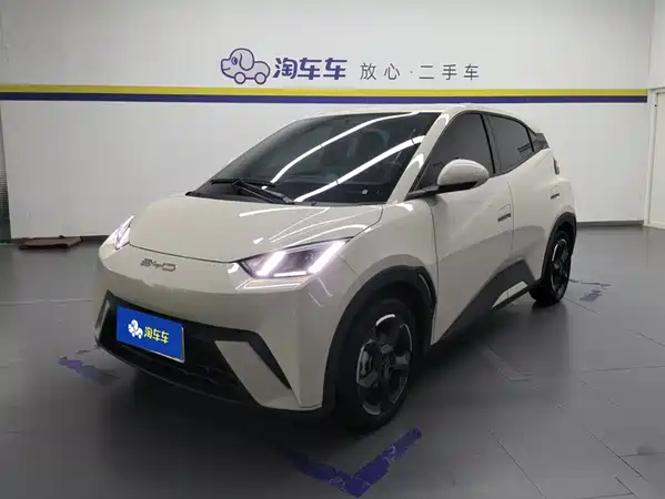 BYD Seagull 2024