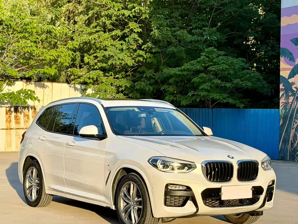 BMW X3 2019 — фото 3