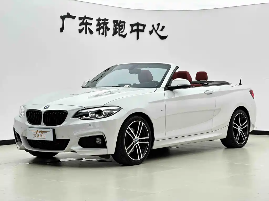 BMW 2 Series 2019