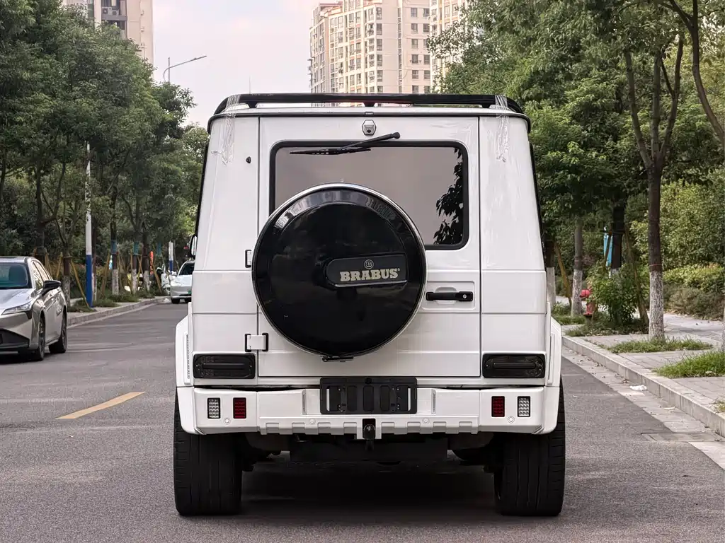 Mercedes-Benz G-Class 2017 — фото 15