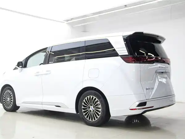 Denza D9 2025