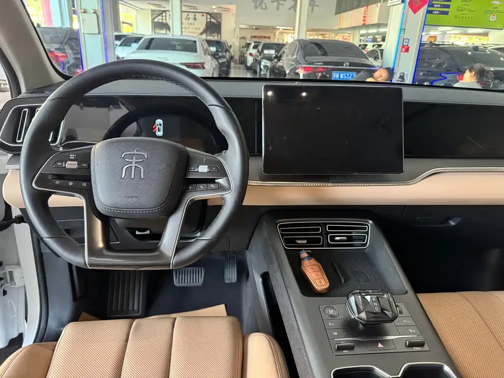 BYD Pro New Energy 2024 — фото 10