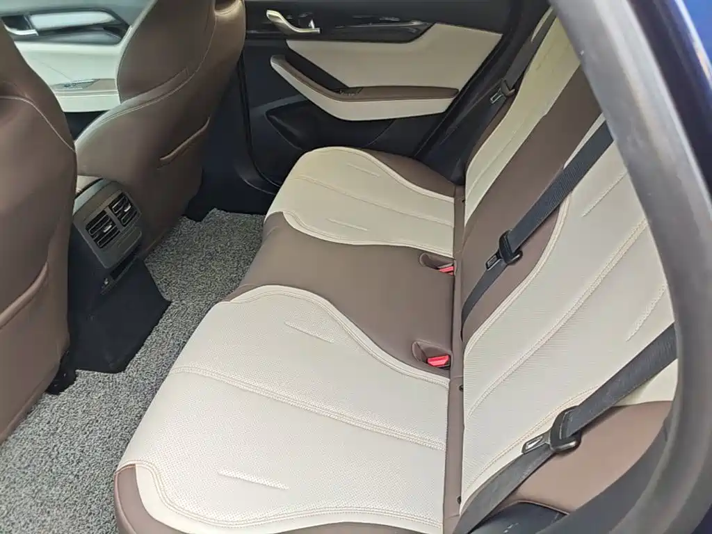 BYD Qin PLUS 2023 — фото 17