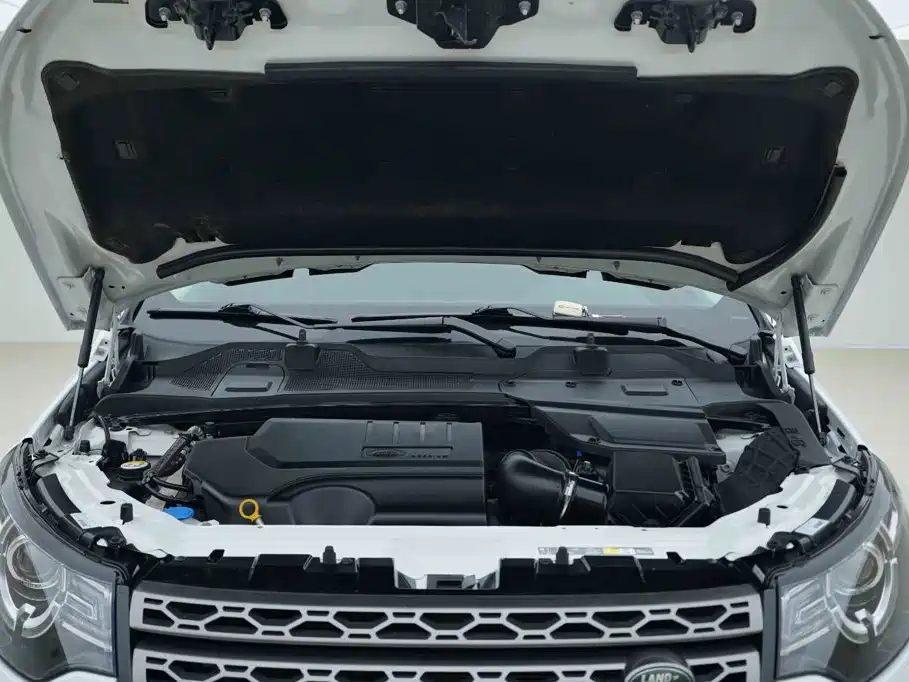 Land Rover Discovery Sport 2019 — фото 7