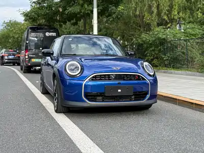 MINI MINI 2025