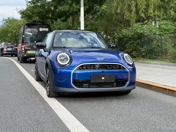 MINI MINI 2025