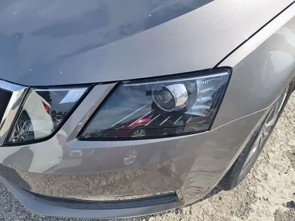 Skoda Octavia 2022 — фото 24