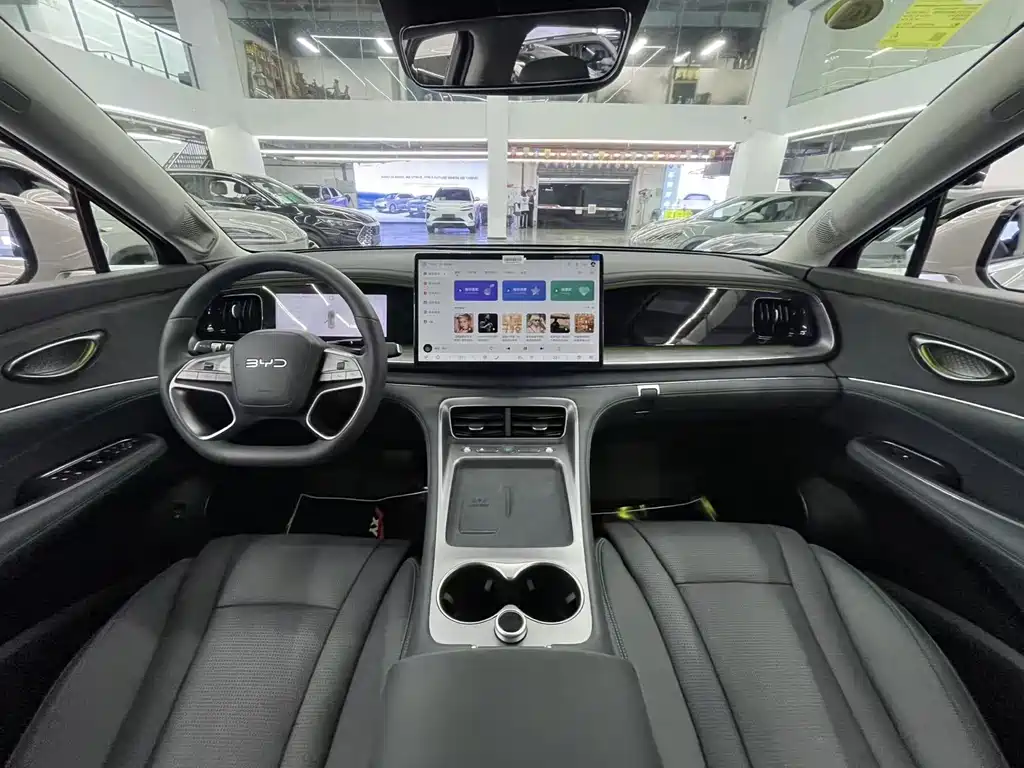 BYD Sealion 07 DM-i 2025 — фото 9