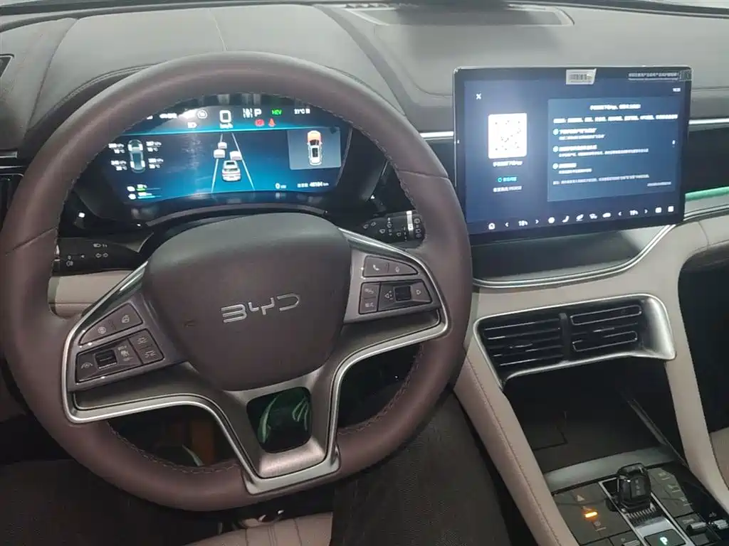 BYD PLUS New Energy 2024 — фото 10