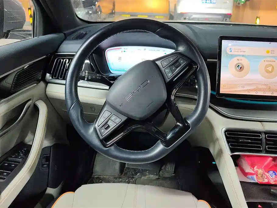 BYD PLUS New Energy 2023 — фото 15
