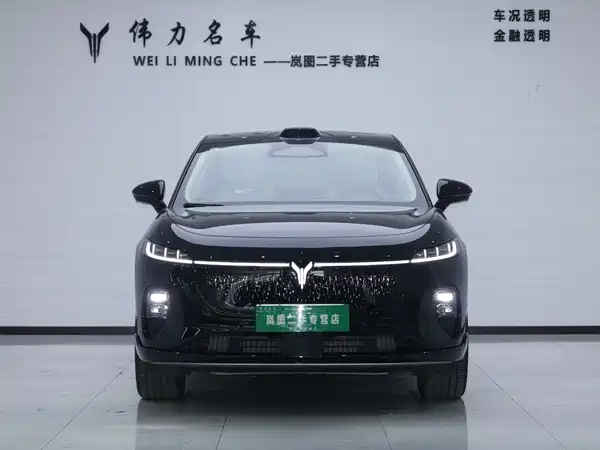 Voyah Zhiyin 2025