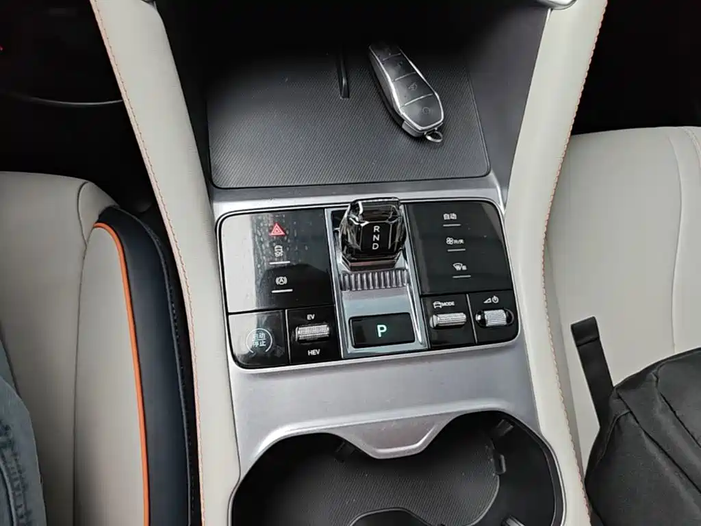 BYD PLUS New Energy 2023 — фото 14