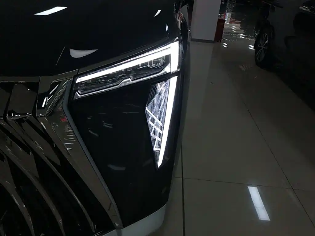 GAC Motor Trumpchi E9 2024 — фото 24