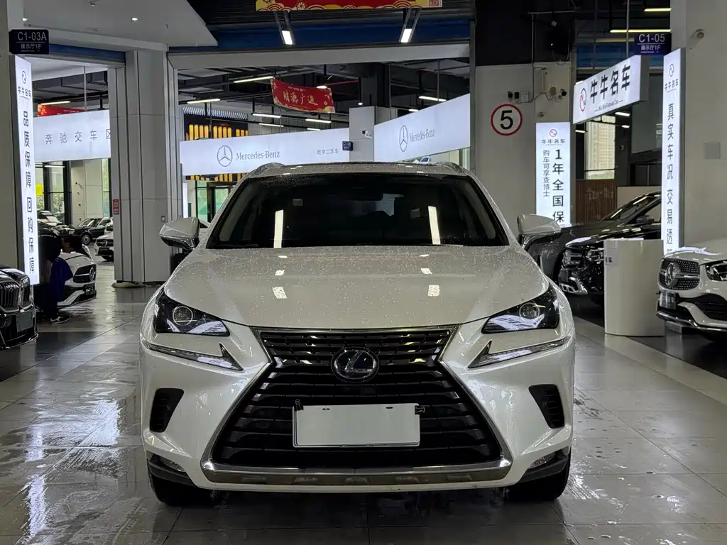 Lexus NX 2020 — фото 2