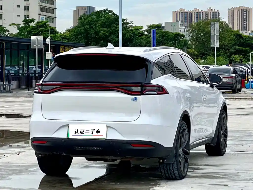 BYD Tang New Energy 2020 — фото 9
