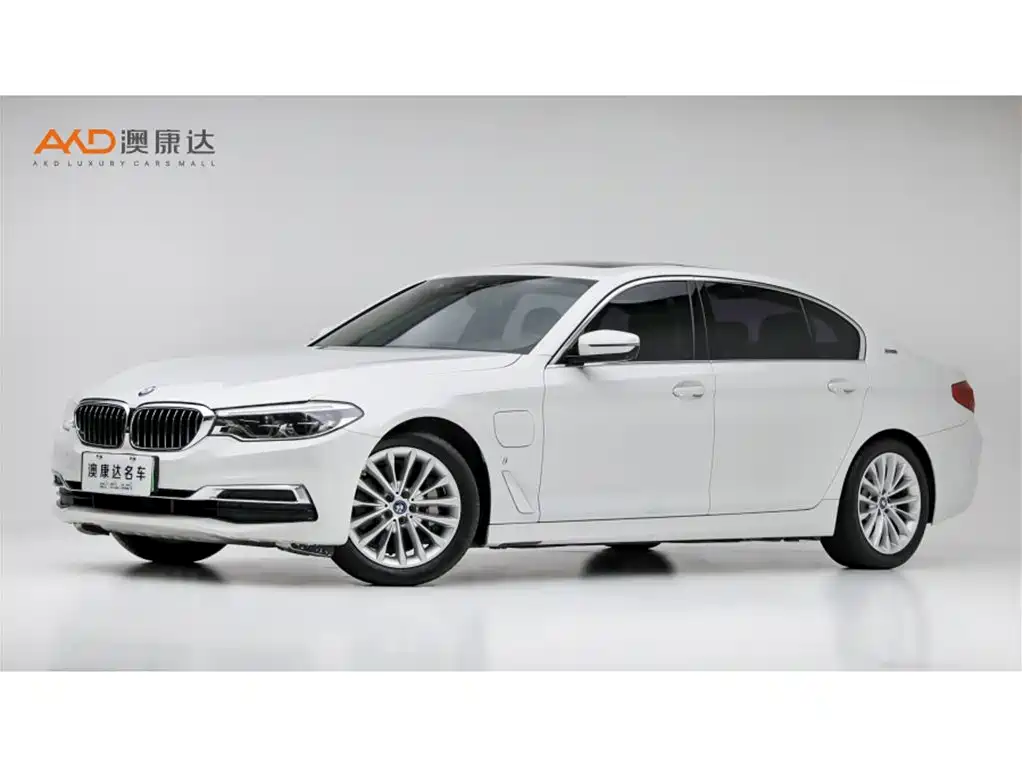 BMW 5 Series New Energy 2019