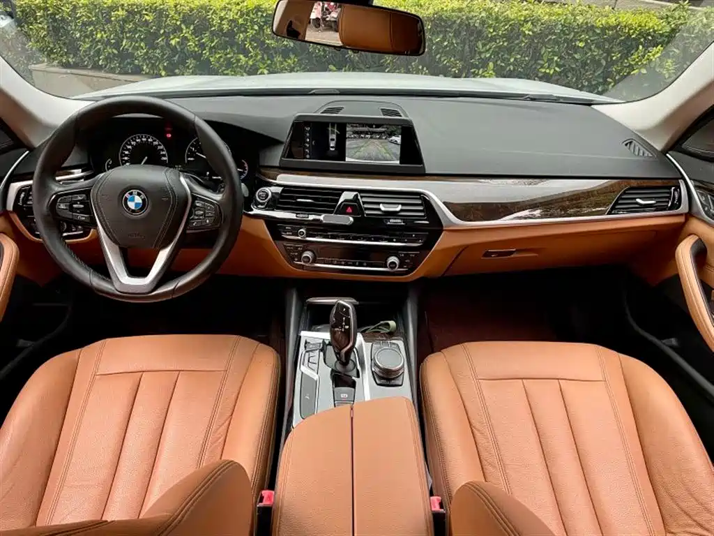 BMW 5 Series 2017 — фото 8