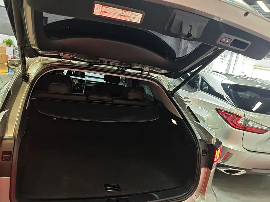 Lexus RX 2021 — фото 19