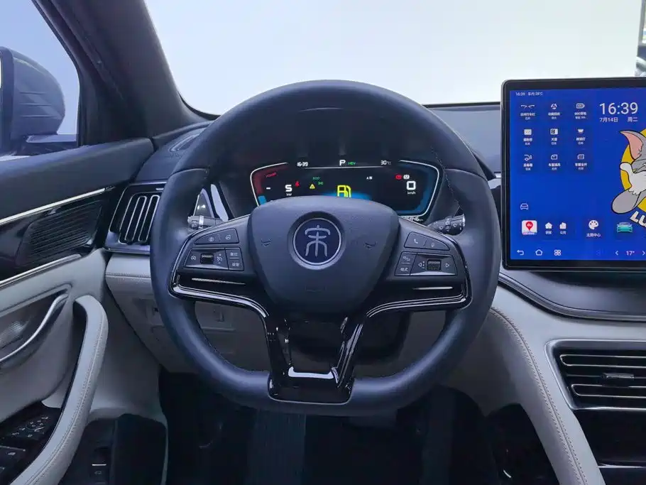 BYD Song PLUS New Energy 2023 — фото 15