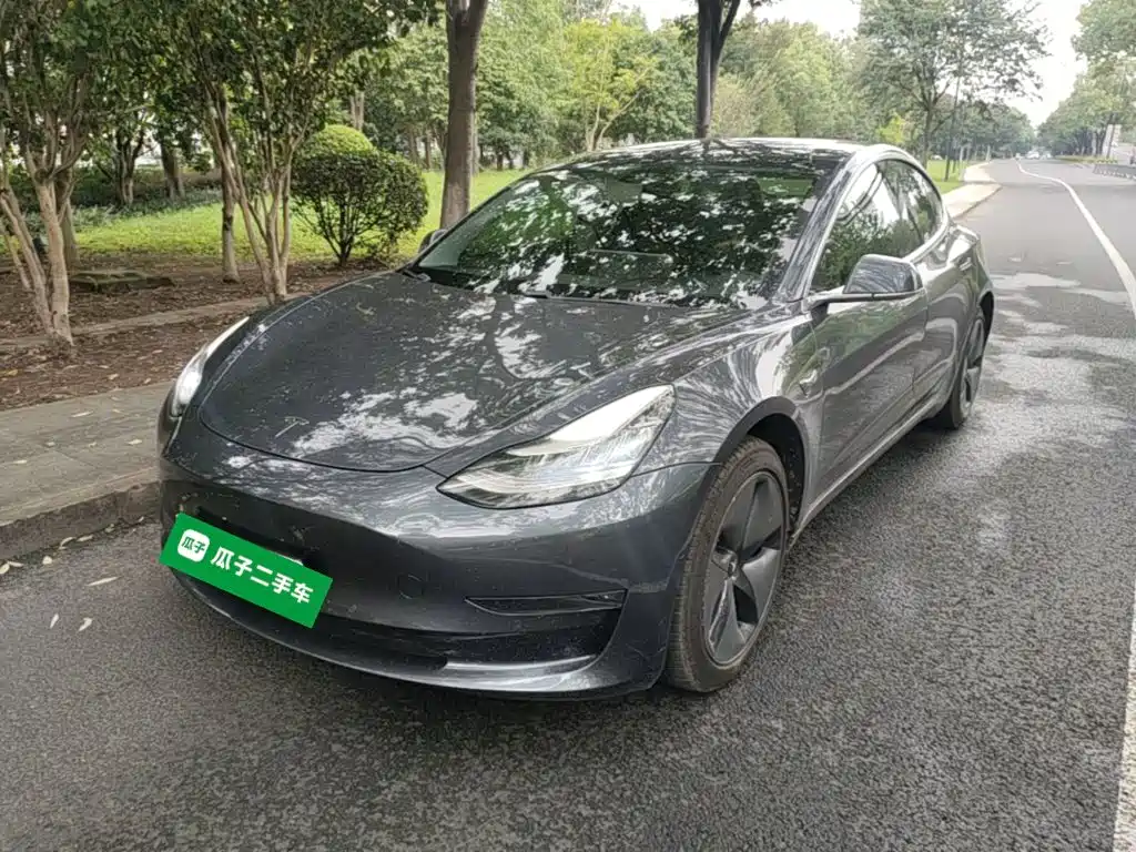 Tesla Model 3 2019
