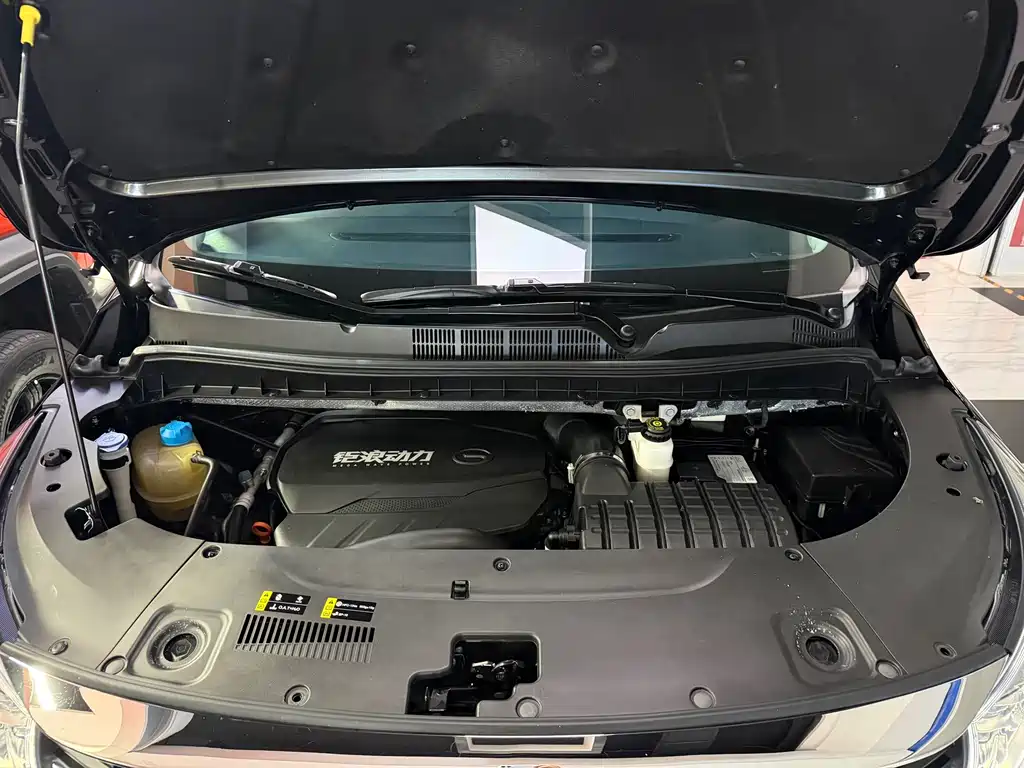 GAC Trumpchi M8 2024 — фото 10
