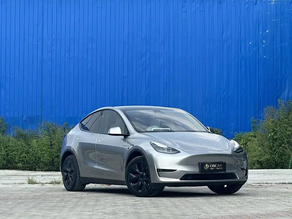 Tesla Model Y 2024 — фото 4