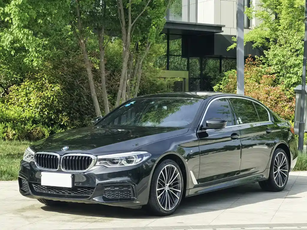 BMW 5 Series 2019 — фото 1