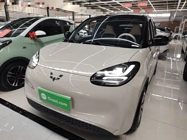 Wuling Bingo 2024