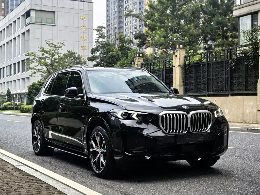 BMW X5 2024