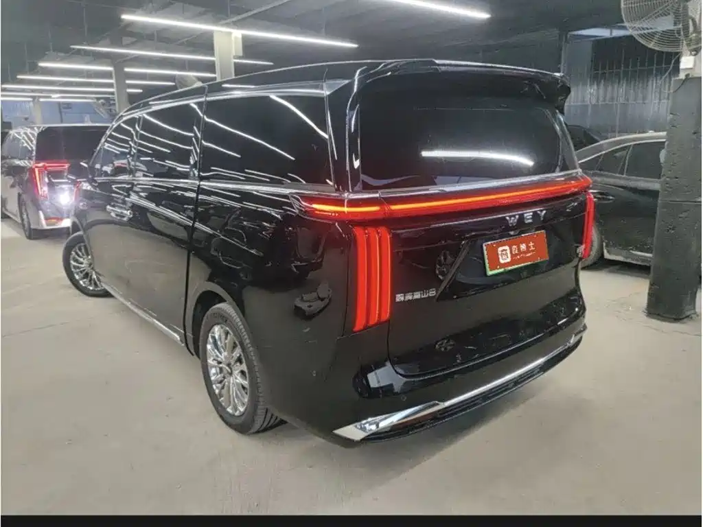 Wey Gaoshan 2026