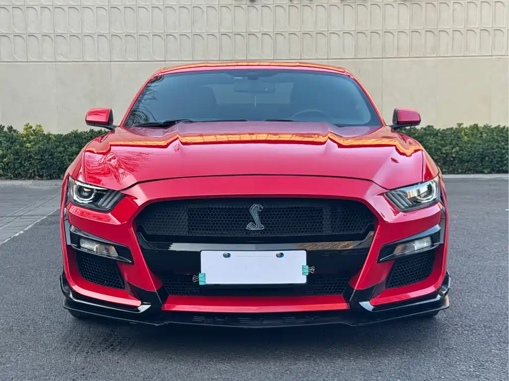 Ford Mustang 2015 — фото 2