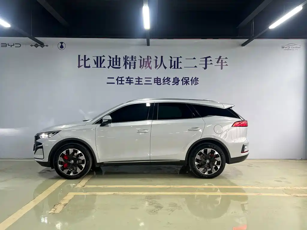BYD Tang New Energy 2023 — фото 3