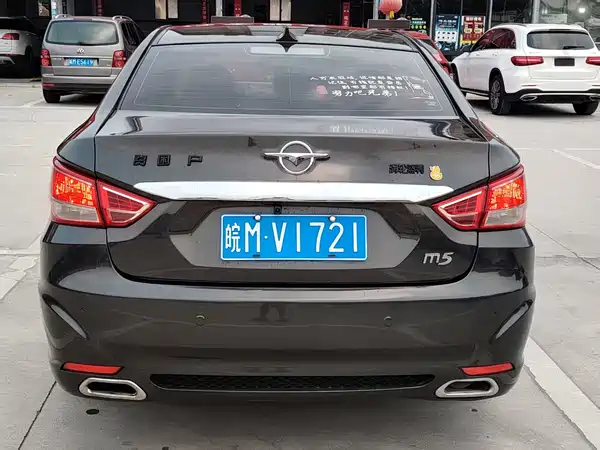 Haima Vanda Electric 2014