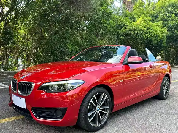BMW 2 Series 2019