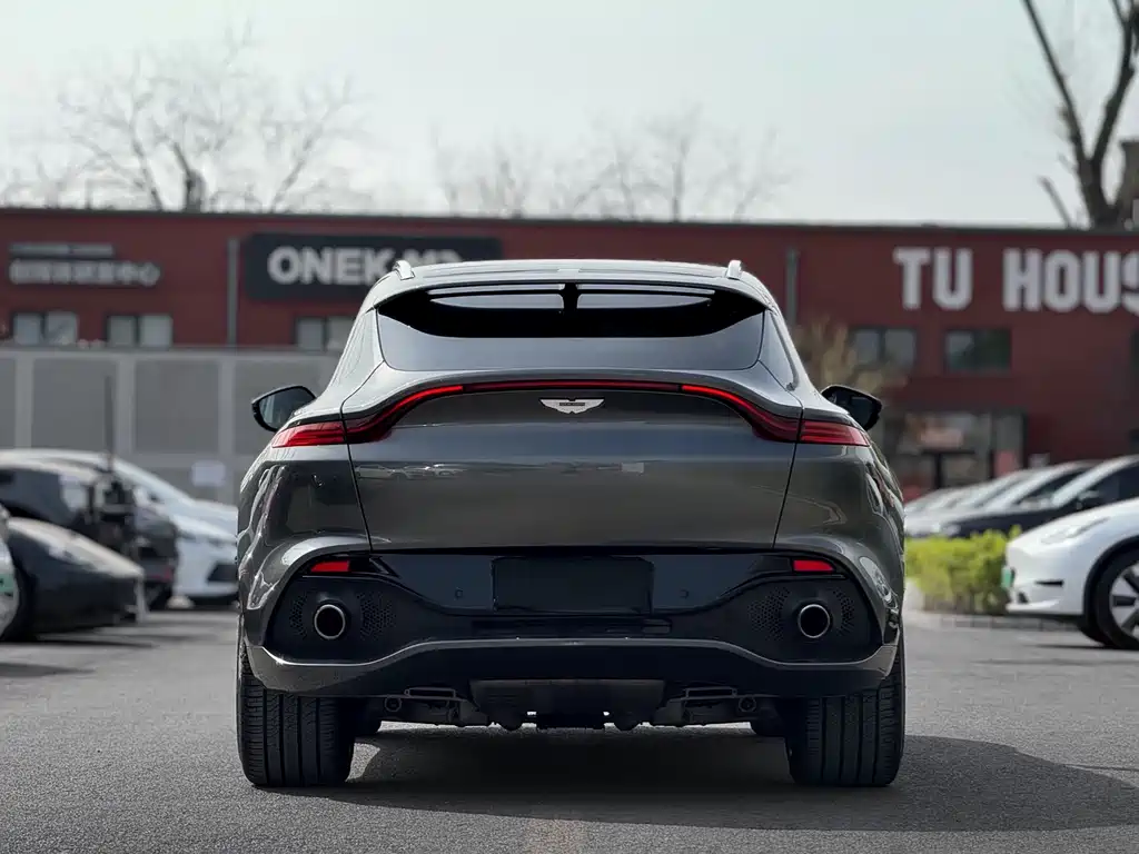 Aston Martin DBX 2021 — фото 15