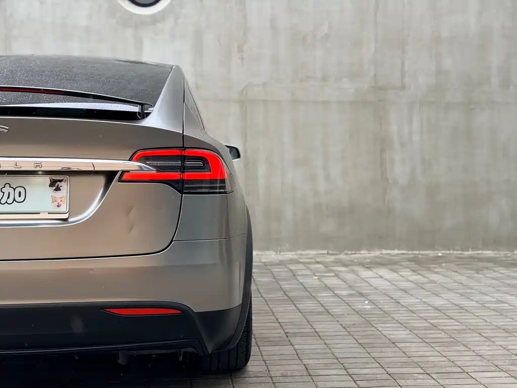 Tesla Model X 2019 — фото 13