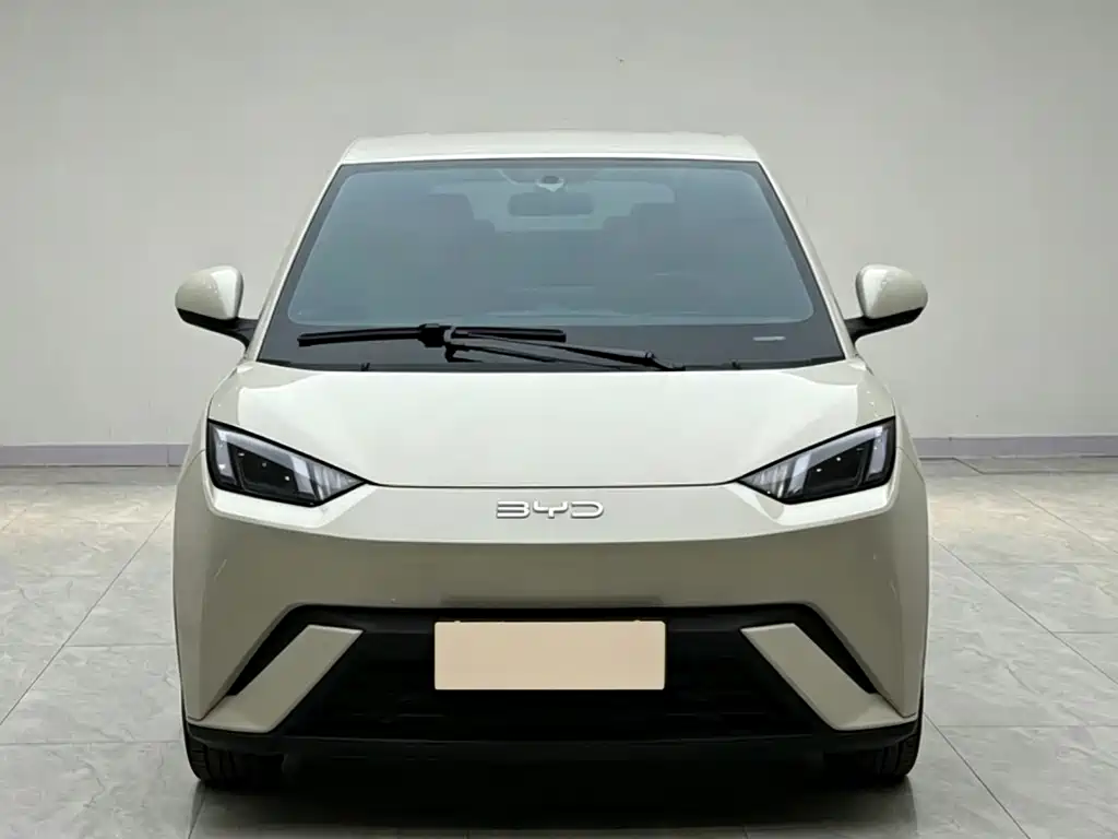 BYD Seagull 2024