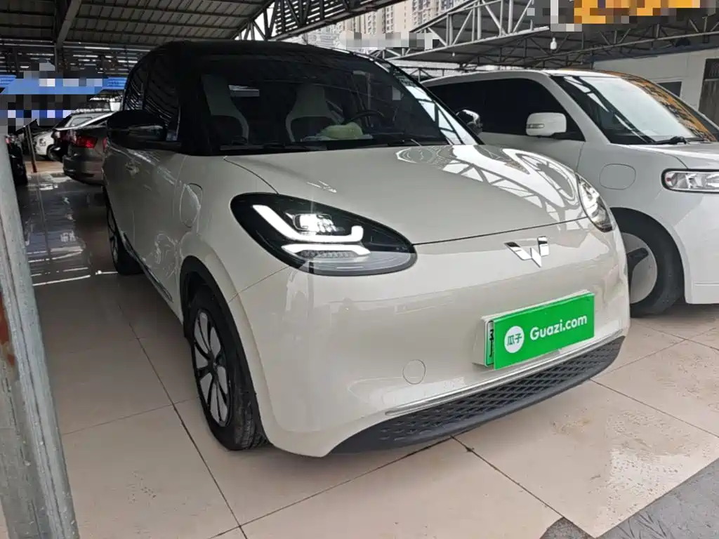 Wuling Bingo 2024
