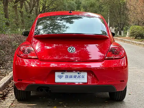 Volkswagen Beetle 2013