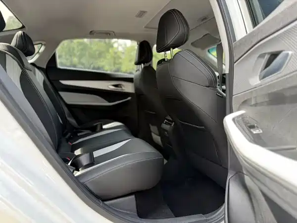 Geely Binrui 2024