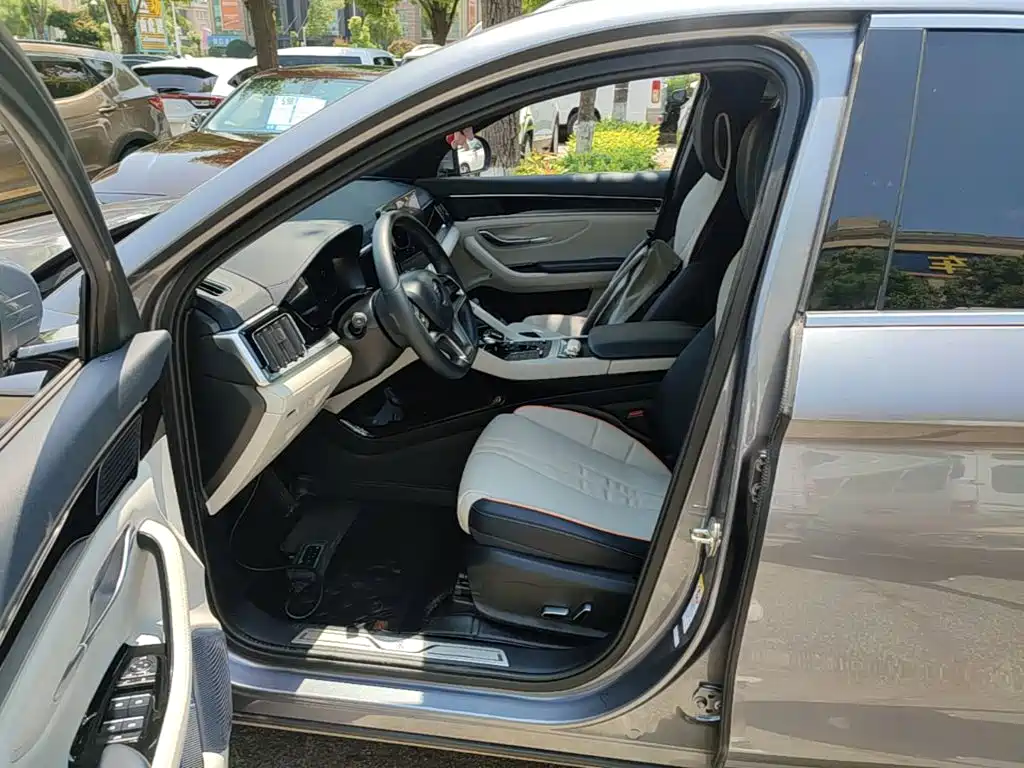BYD PLUS New Energy 2023 — фото 15