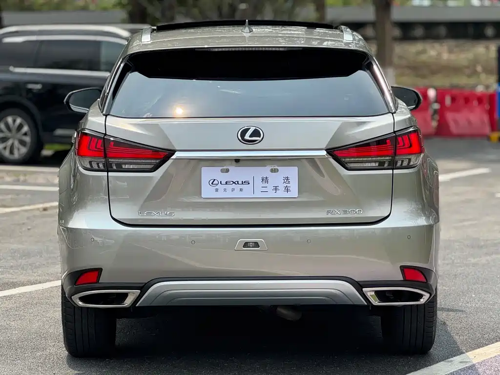 Lexus RX 2020 — фото 19