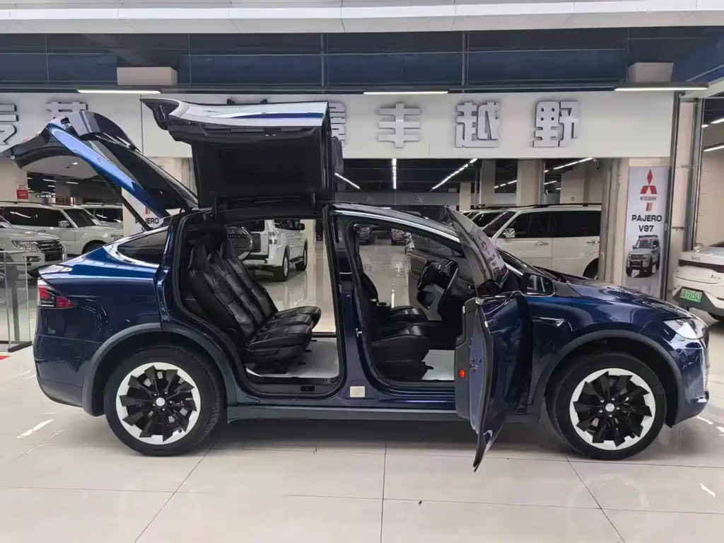 Tesla Model X 2017 — фото 23