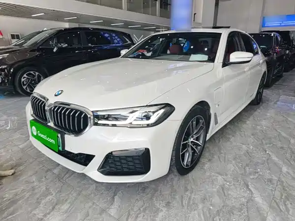 BMW 5 Series New Energy 2021